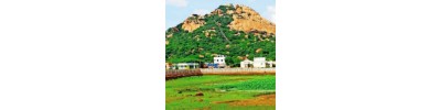 064.திருவாட்போக்கி